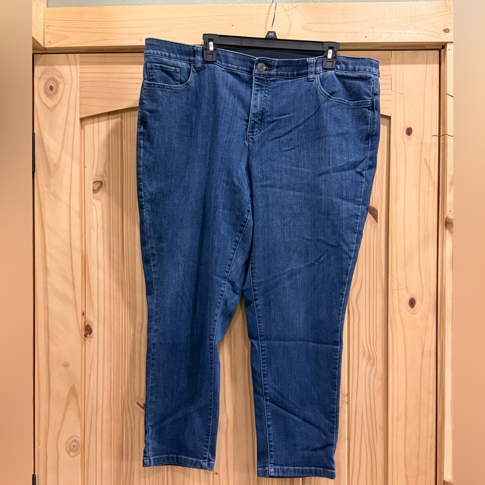 Plus Size Blue Stretch Women's Jeans - Picture 1 of 5